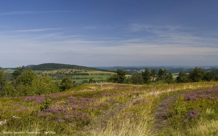 Usseler Heide