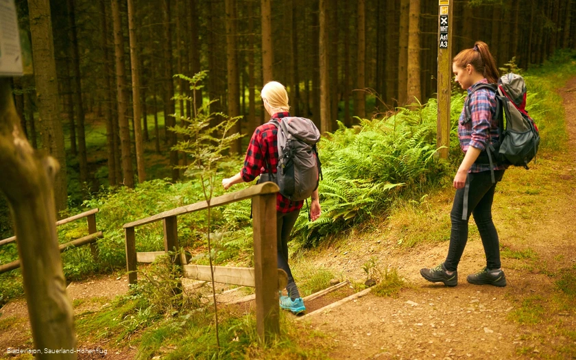 Auf dem Weg ins Renautal