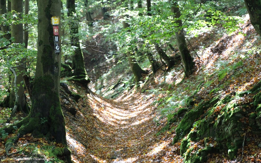 Hohlweg in Düdinghausen