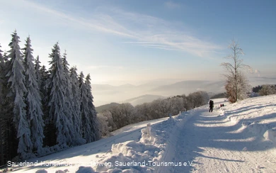 Ausblick von Wildewiese