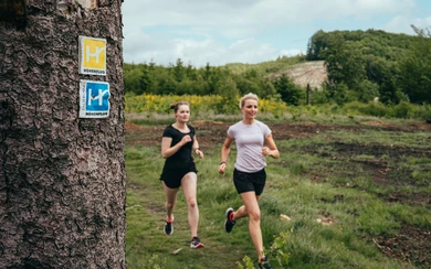 Trailrun 2022 5km.jpeg