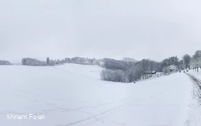 Rodelhang Schallershaus