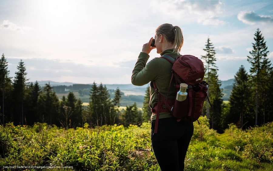 Fernblick hinter Schlossbergalm auf dem Sauerland-Höhenflug