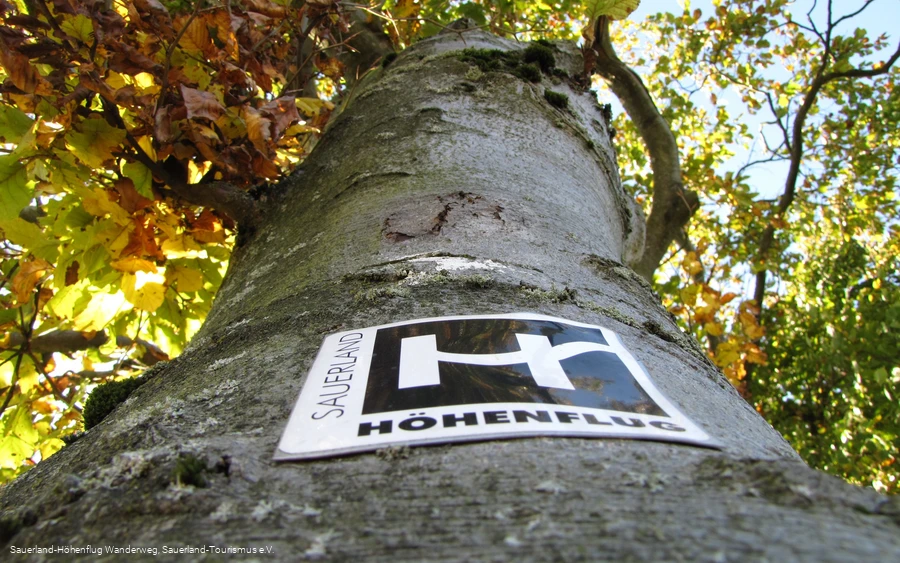 Zugangsweg bei Wildewiese