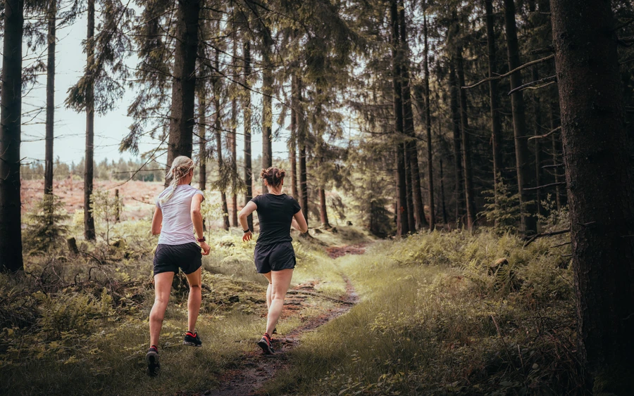 Trailrun 2022 HM.jpeg