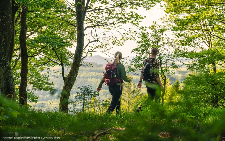 Pfad auf der Bergkuppe Rösberg
