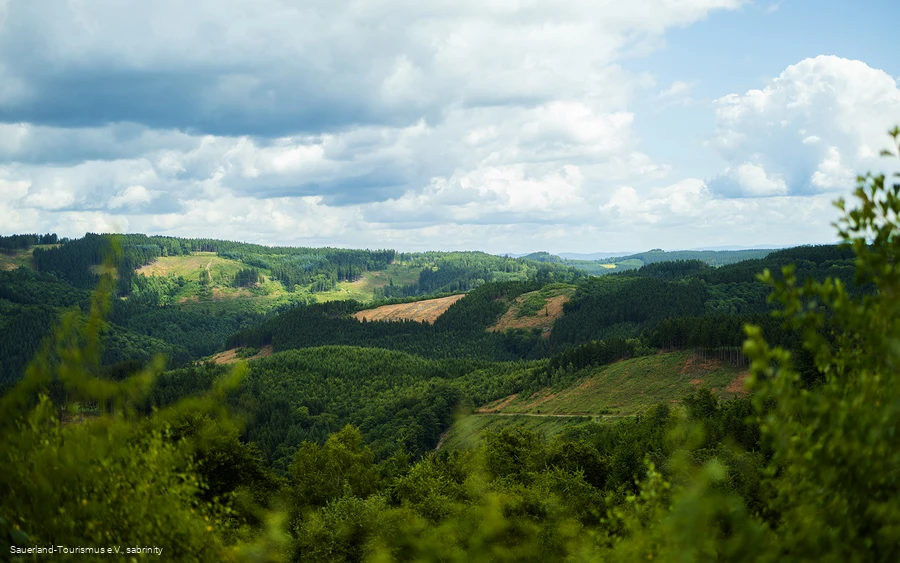Blick vom Oberbecken in Richtung Wildewiese