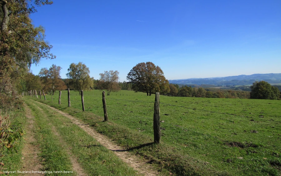 Aussicht bei Windhausen im Herbst