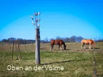 Scheuerpfahl Tauben