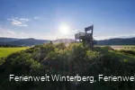 Ein Aussichtsturm in Form eines großen Holzstuhles auf einem bewaldeten Hügel vor blauem Himmel und Sonne inmitten von Wiesen und Wäldern.
